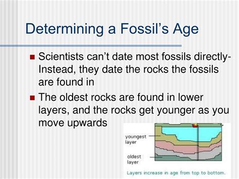 the two methods of dating rocks and fossils are called